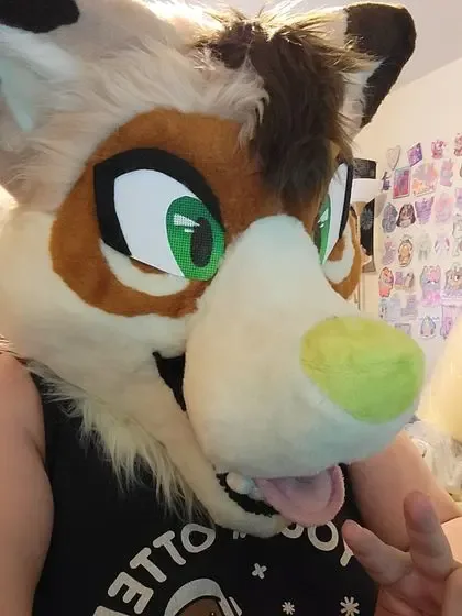 ashyracwolf