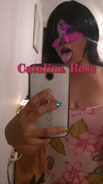 cataroseu9021744