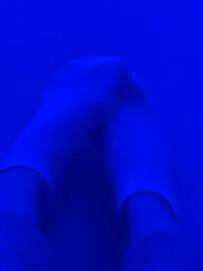 elizaarosee
