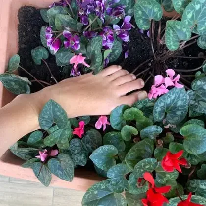 fiorasianto