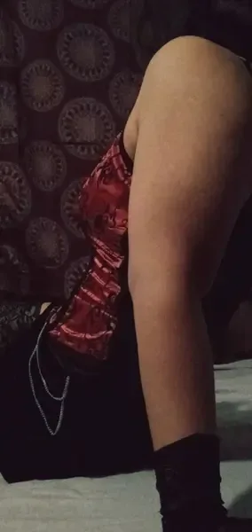 kitten_peeks