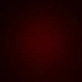 Lisa.mueller.official