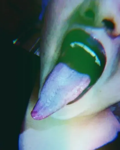 lupitahellqueeen