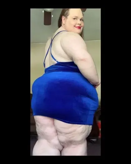 miss_curvycat