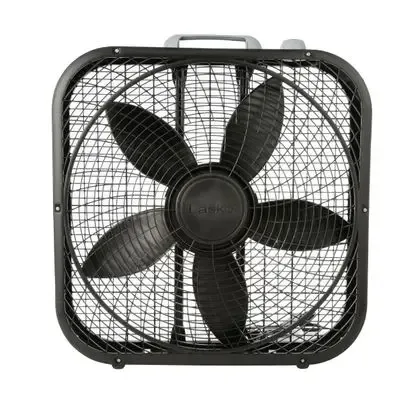 nothing_but_fans