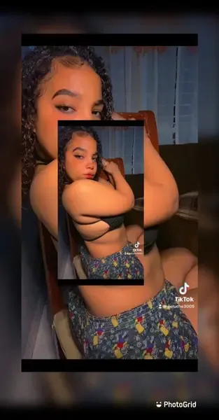 peluche_chash
