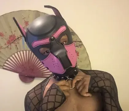 pupdyon
