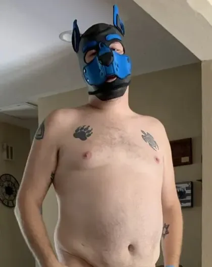 puplumens