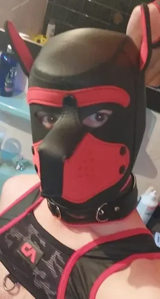 puppy_onyx