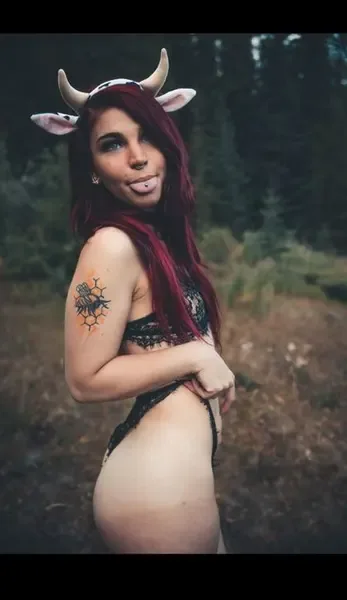 quirky_little_kitten