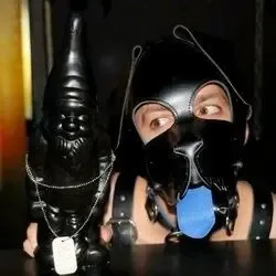 regaleiro1