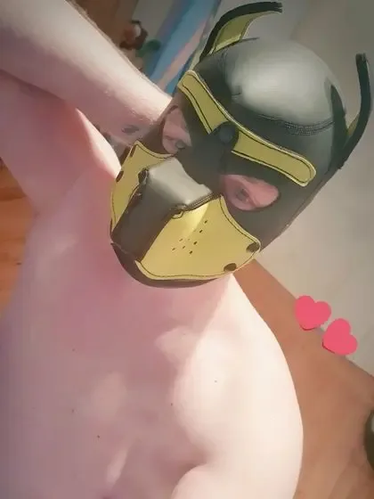 roxthepup