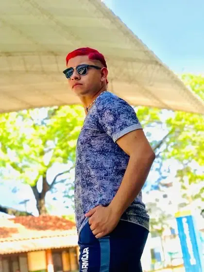 shnaider_sthet