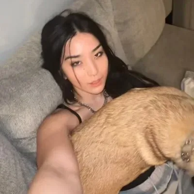 stepgf