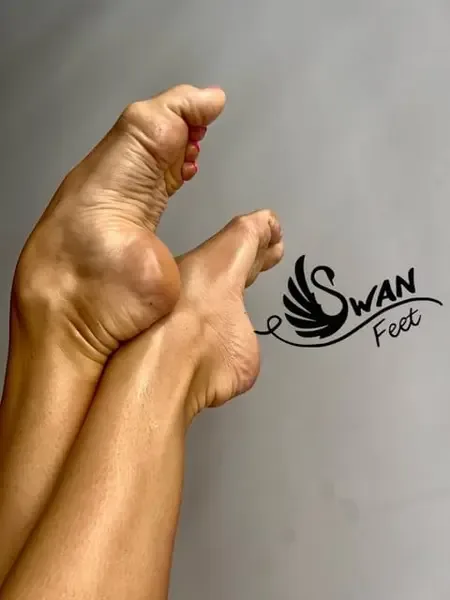 swanfee