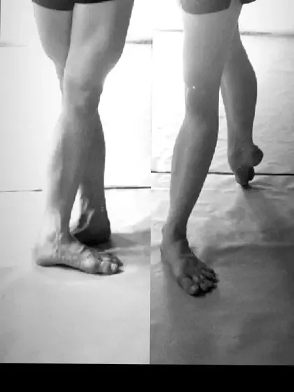 theballerina