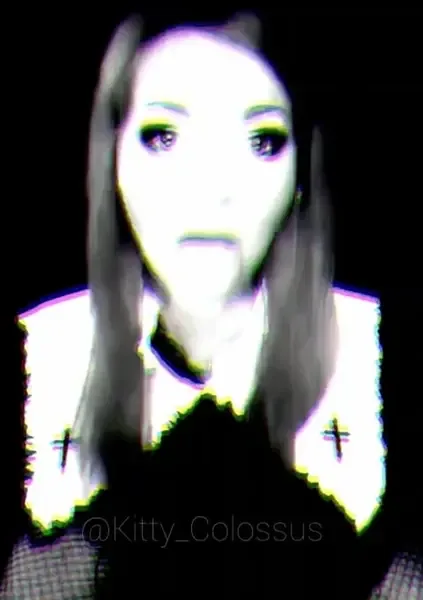 thekittycult
