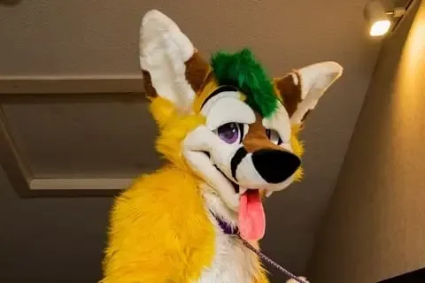 thepineapplefox