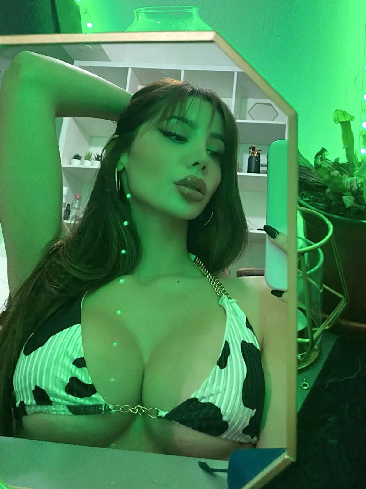 venusbb
