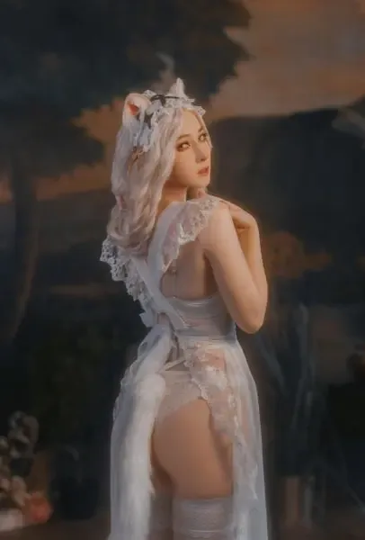 visagefox