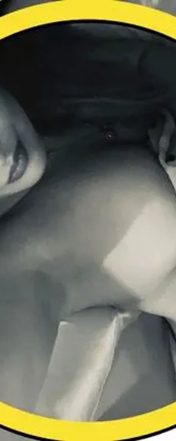 Vanessa Formell (free Page) OnlyFans photo 1