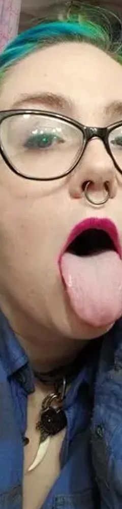 Piggy Cae 🐷