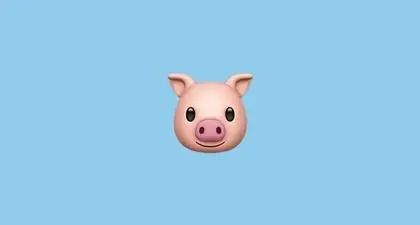 fattypatty0