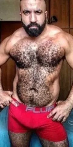 Musclebearbrazil