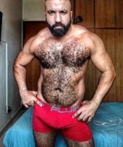 Musclebearbrazil