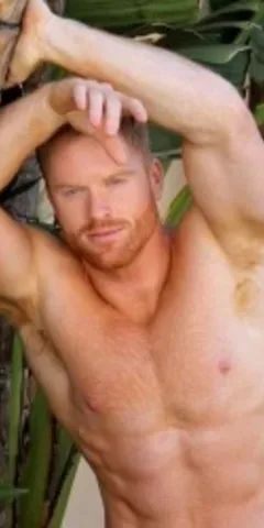 sethfornea