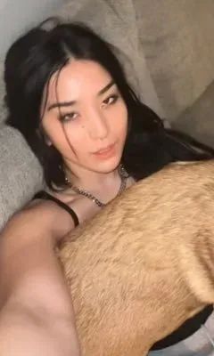 stepgf