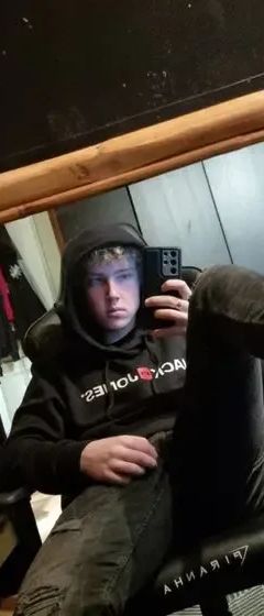 Vinne